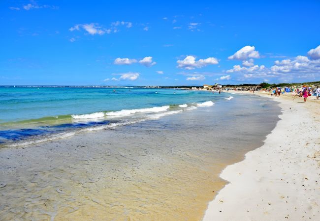 Domaine à Campos - 405 Finca Sa Vinya VT 1711 by Mallorca Charme Domaine à Campos - 405 Finca Sa Vinya VT 1711 by Mallorca Charme