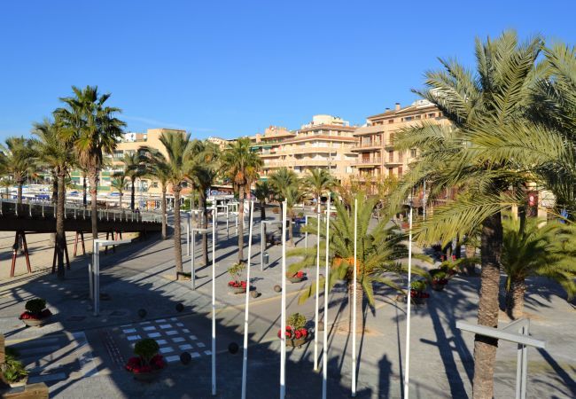 Appartement à Port d´Alcudia - 134 Apartamento Pins-Tugores ETVPL/13155 by Mallor Appartement à Port d´Alcudia - 134 Apartamento Pins-Tugores ETVPL/13155 by Mallor
