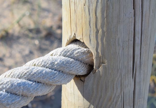 Appartement à Alcúdia - 174 Apartamento Fantastic ETVPL/12650 by Mallorca Appartement à Alcúdia - 174 Apartamento Fantastic ETVPL/12650 by Mallorca