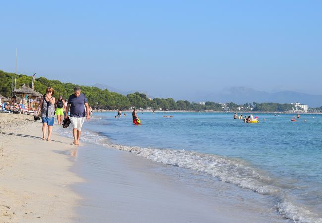 Appartement à Alcúdia - 174 Apartamento Fantastic ETVPL/12650 by Mallorca Appartement à Alcúdia - 174 Apartamento Fantastic ETVPL/12650 by Mallorca