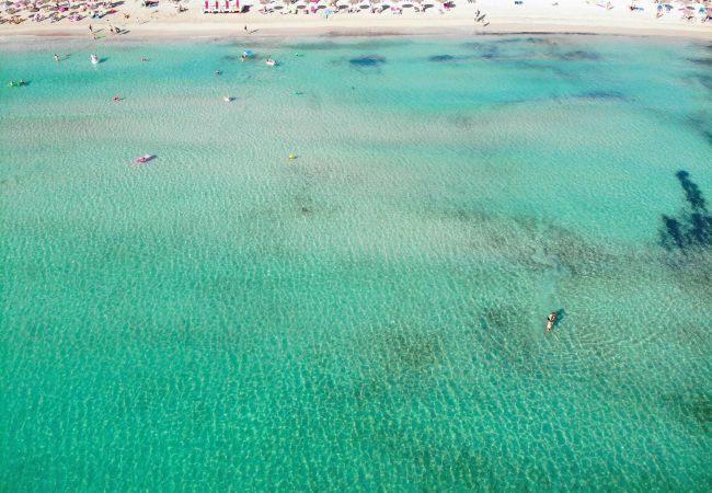 Appartement à Alcúdia - 174 Apartamento Fantastic ETVPL/12650 by Mallorca Appartement à Alcúdia - 174 Apartamento Fantastic ETVPL/12650 by Mallorca