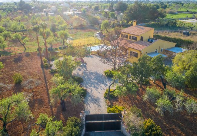 Domaine à Inca - Sa Tanqueta Rustica, Finca 5StarsHome Mallorca Domaine à Inca - Sa Tanqueta Rustica, Finca 5StarsHome Mallorca