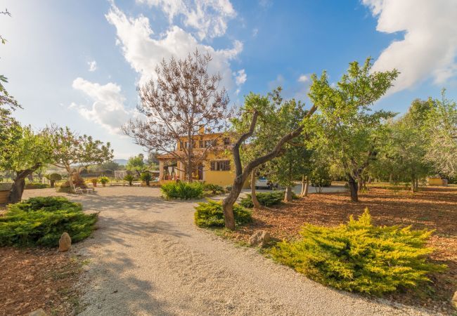 Domaine à Inca - Sa Tanqueta Rustica, Finca 5StarsHome Mallorca Domaine à Inca - Sa Tanqueta Rustica, Finca 5StarsHome Mallorca