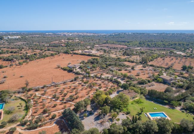 Domaine à Manacor - Sestador Blat, Finca 5StarsHome Mallorca Domaine à Manacor - Sestador Blat, Finca 5StarsHome Mallorca