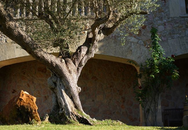 Domaine à Pollensa / Pollença - Llobarro, Villa-Finca 5StarsHome Mallorca Domaine à Pollensa / Pollença - Llobarro, Villa-Finca 5StarsHome Mallorca