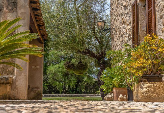 Domaine à Pollensa / Pollença - Buchaca, Villa-Finca 5StarsHome Mallorca Domaine à Pollensa / Pollença - Buchaca, Villa-Finca 5StarsHome Mallorca