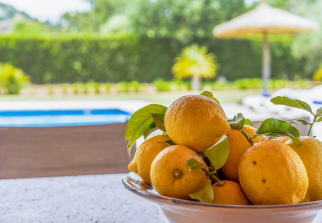 Domaine à Pollensa / Pollença - Buchaca, Villa-Finca 5StarsHome Mallorca Domaine à Pollensa / Pollença - Buchaca, Villa-Finca 5StarsHome Mallorca