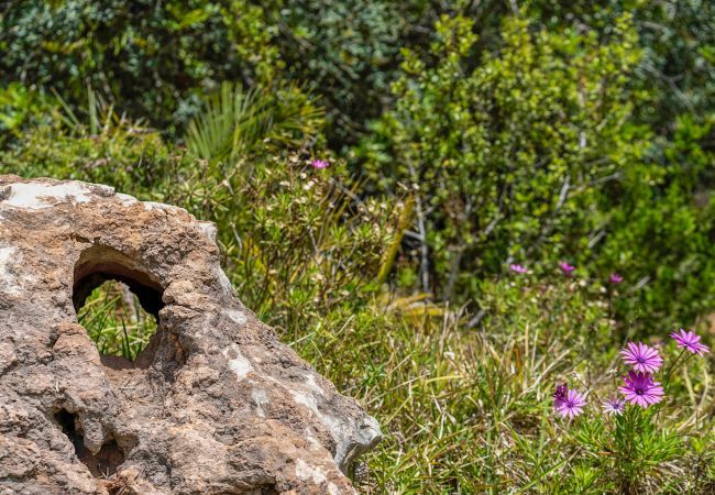 Domaine à Pollensa / Pollença - Buchaca, Villa-Finca 5StarsHome Mallorca Domaine à Pollensa / Pollença - Buchaca, Villa-Finca 5StarsHome Mallorca