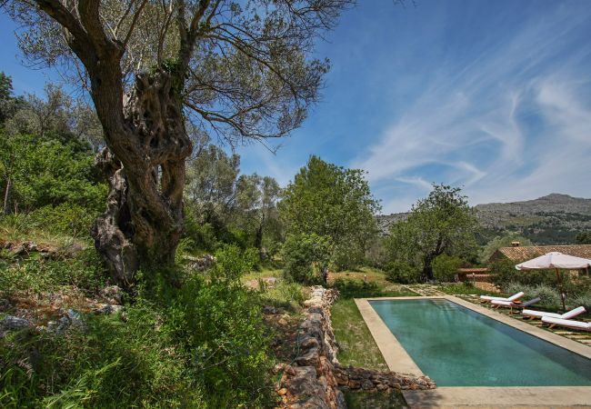 Domaine à Pollensa / Pollença - Mon Mallorqui Pas Col, Finca 5StarsHome Mallorca Domaine à Pollensa / Pollença - Mon Mallorqui Pas Col, Finca 5StarsHome Mallorca