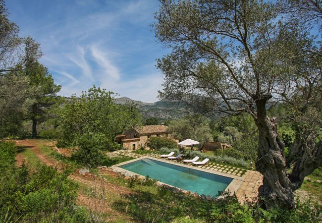Domaine à Pollensa / Pollença - Mon Mallorqui Pas Col, Finca 5StarsHome Mallorca Domaine à Pollensa / Pollença - Mon Mallorqui Pas Col, Finca 5StarsHome Mallorca