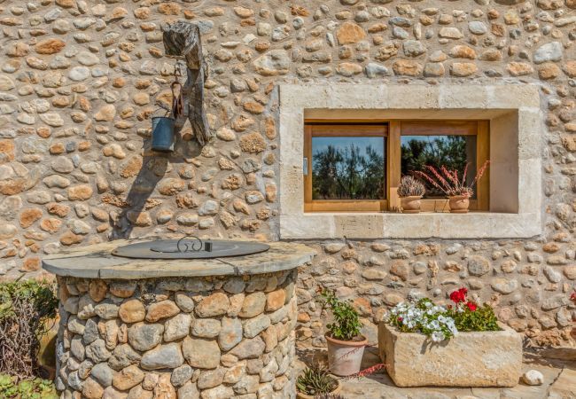 Domaine à Sa Pobla - Carroza, Finca 5StarsHome Mallorca Domaine à Sa Pobla - Carroza, Finca 5StarsHome Mallorca