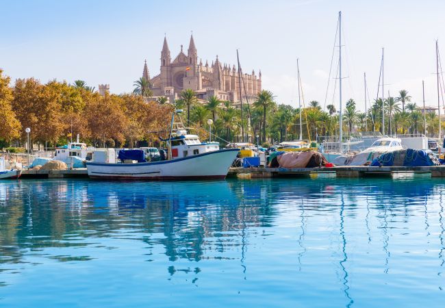 Maison à Binissalem - 257 Casa Anita ETV/10115 by Mallorca Charme Maison à Binissalem - 257 Casa Anita ETV/10115 by Mallorca Charme