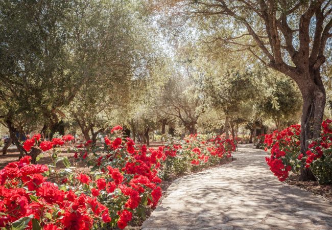 Villa à Santa Margalida - Violet Nature 8, Villa 5StarsHome Mallorca Villa à Santa Margalida - Violet Nature 8, Villa 5StarsHome Mallorca