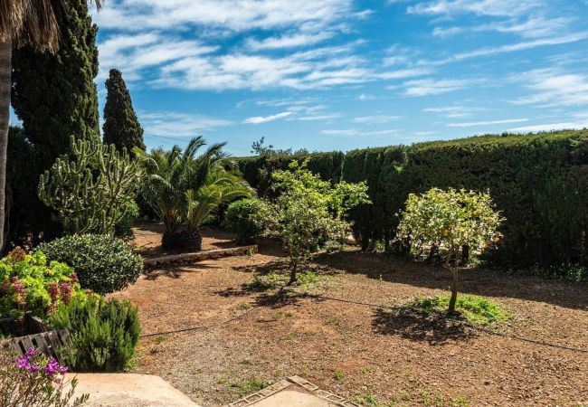 Villa à Sant Josep de Sa Talaia / San Jose - Hadalla, Villa 5StarsHome Ibiza Villa à Sant Josep de Sa Talaia / San Jose - Hadalla, Villa 5StarsHome Ibiza