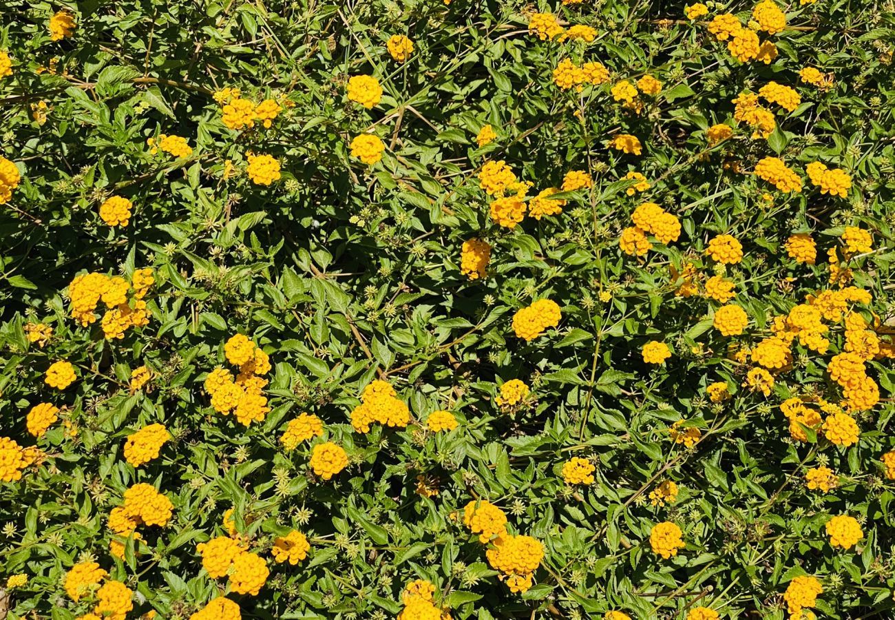 Villa à Binibeca - Villa CRISTINA