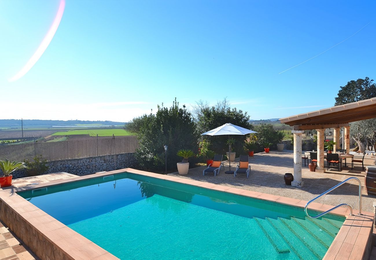 Spacieux, vacances, jardin, calme