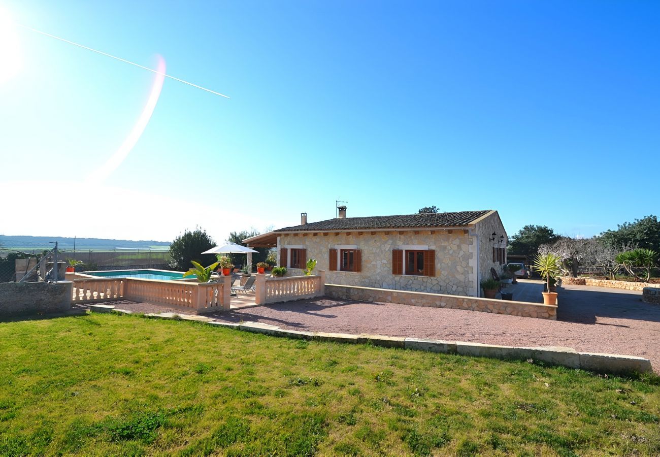 Domaine à Ariany - 078 Finca Sa Rota VT/1953 by Mallorca Charme