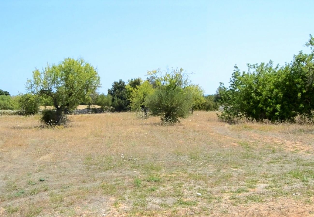 Domaine à Llubi - 137 Finca Son Bernat ETV/9442 by Mallorca Charme