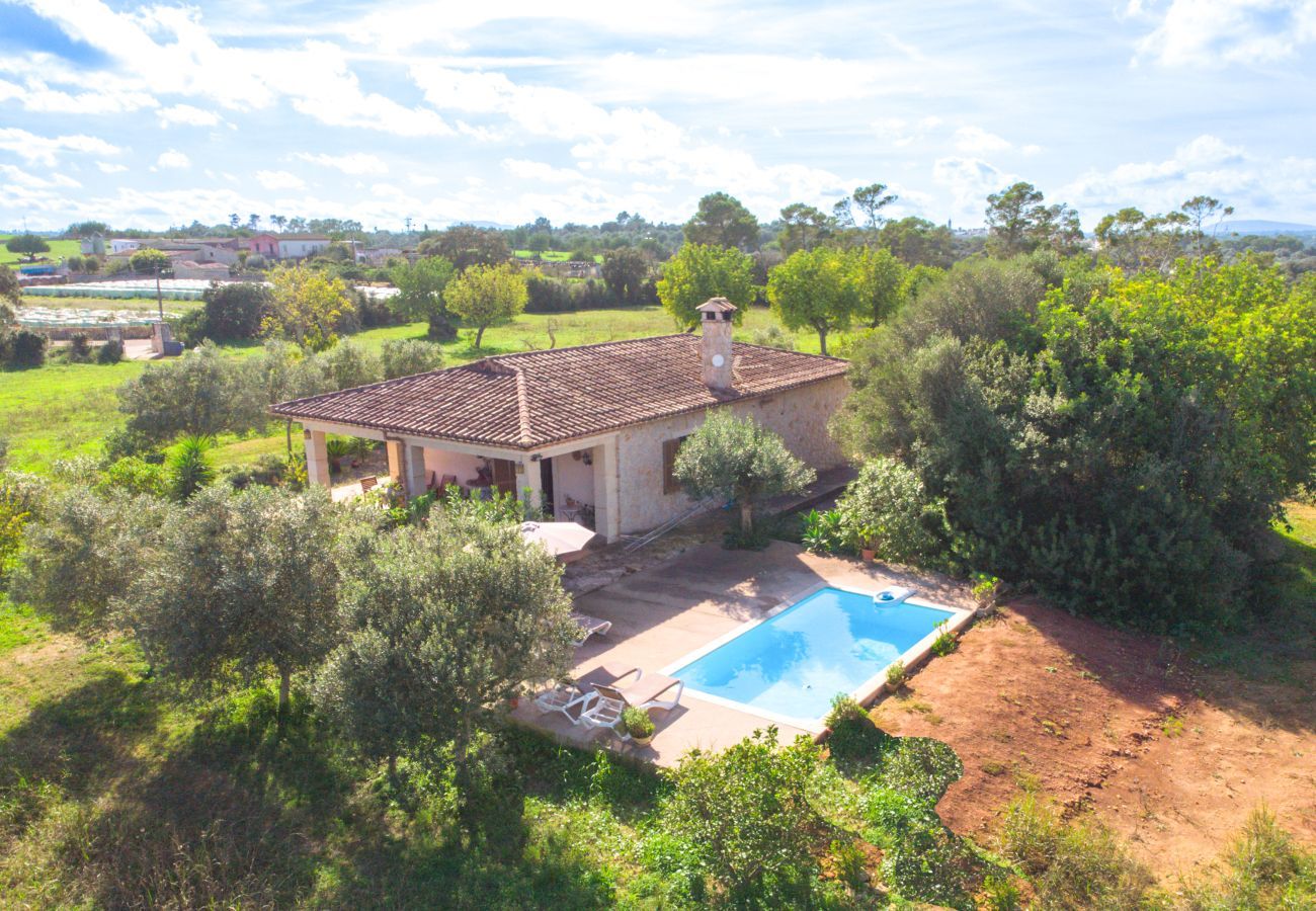 Domaine à Llubi - 137 Finca Son Bernat ETV/9442 by Mallorca Charme