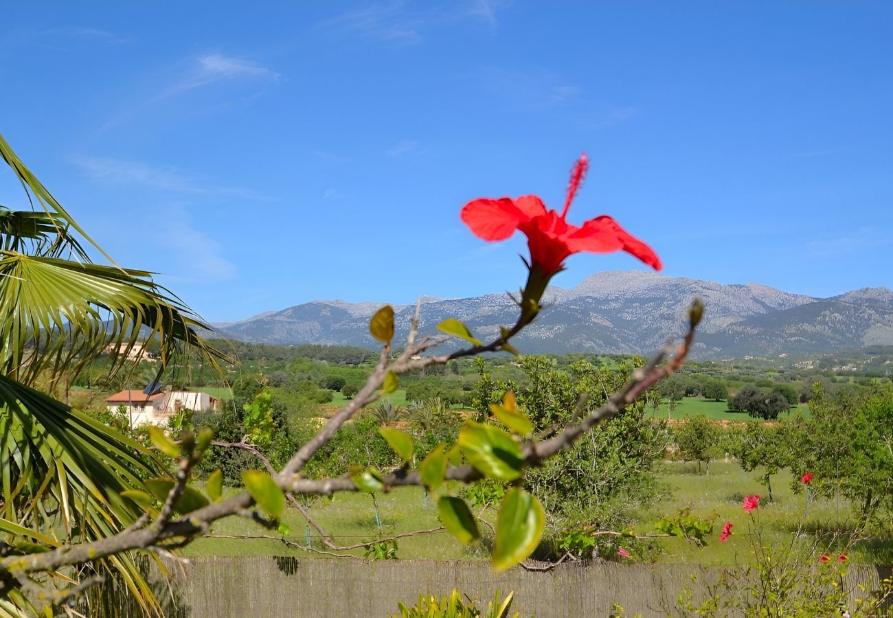 Domaine à Inca - 171 Villa Tramuntana VT/311/2012 by Mallorca Charm