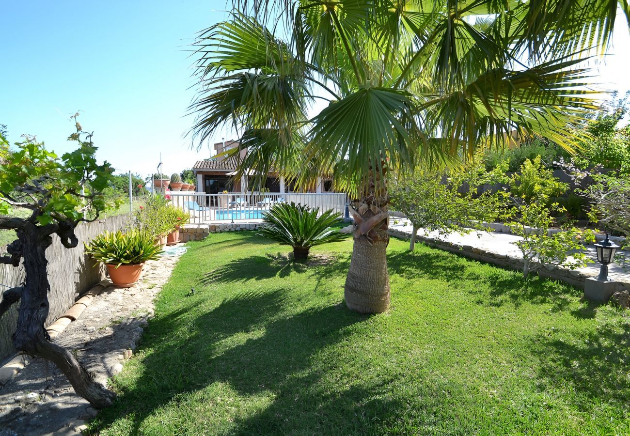 Domaine à Inca - 171 Villa Tramuntana VT/311/2012 by Mallorca Charm