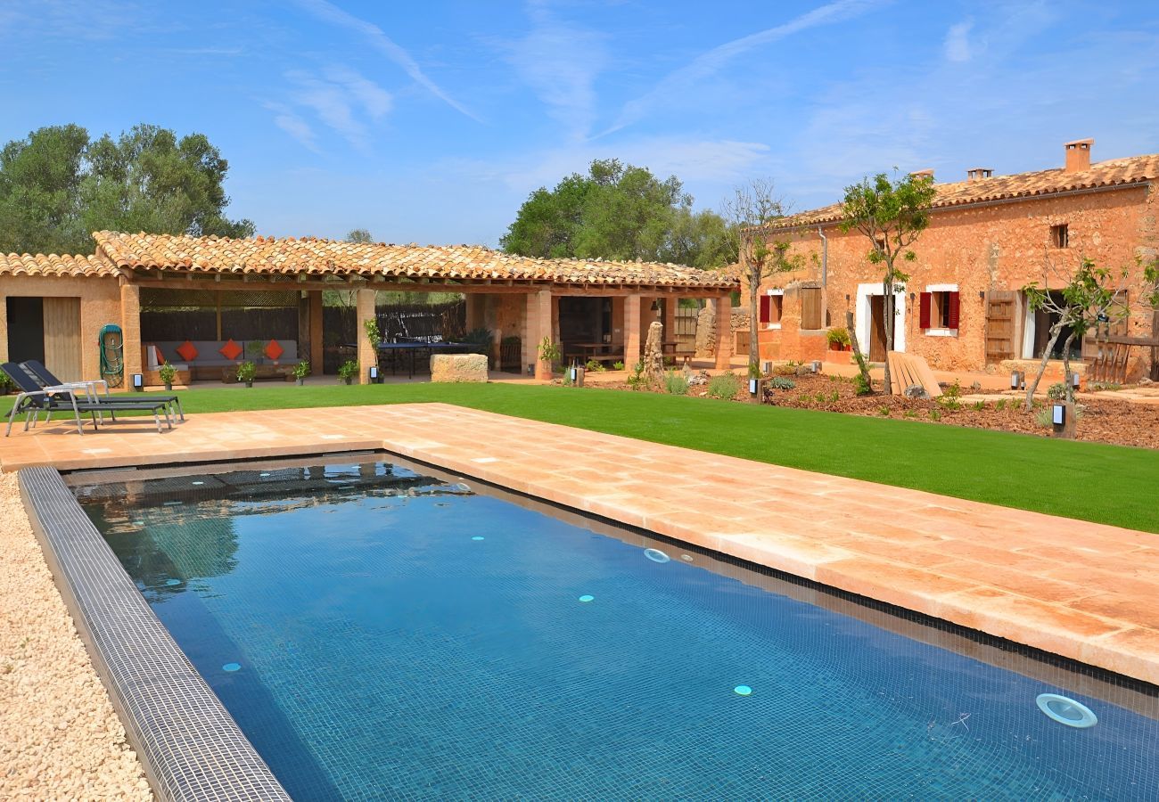Maison moderne, piscine, tranquillité et intimité