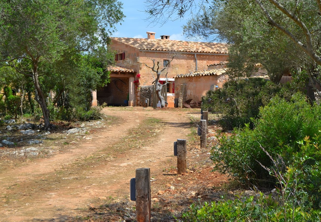 Gîte Rural à Llubi - 005 Finca Can Cortana ETV/7345 by Mallorca Cha