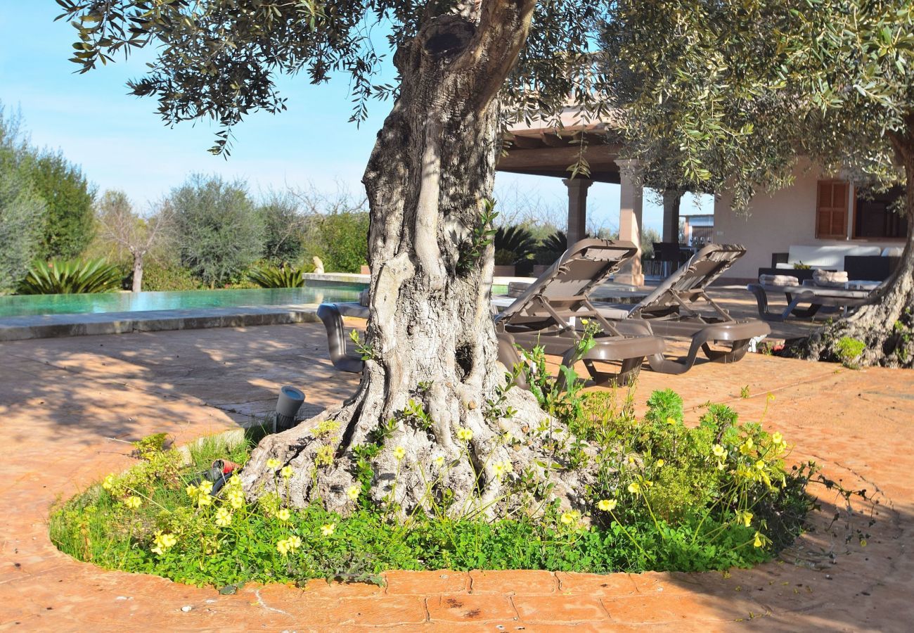 Photo de la piscine et de la villa