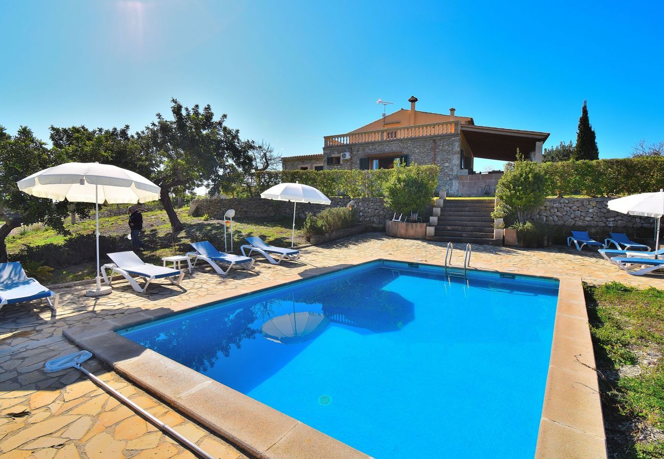 piscine, vacances, nature, calme et tranquillité