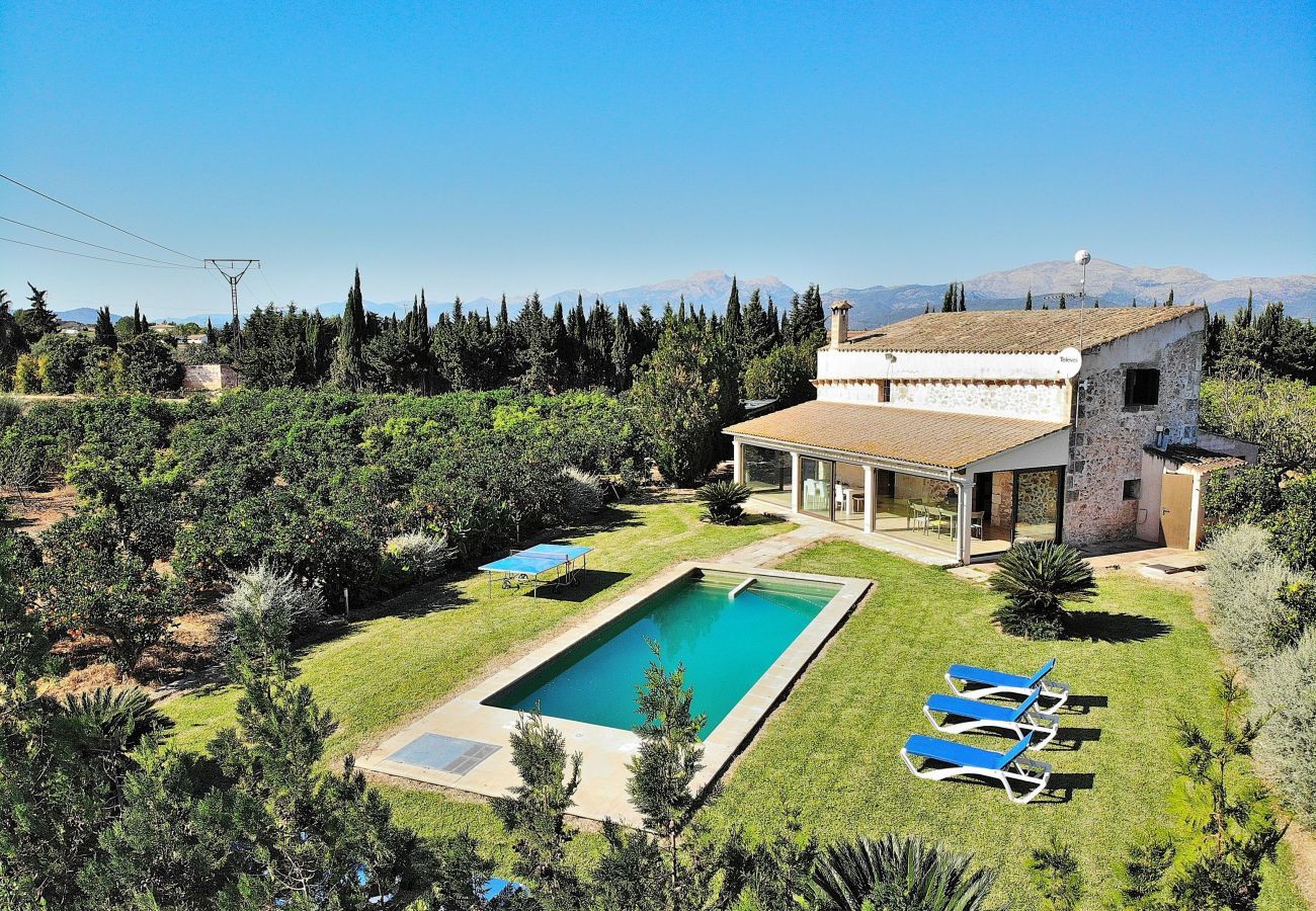 vues, nature, tranquillité, finca, vacances, locations, vacances