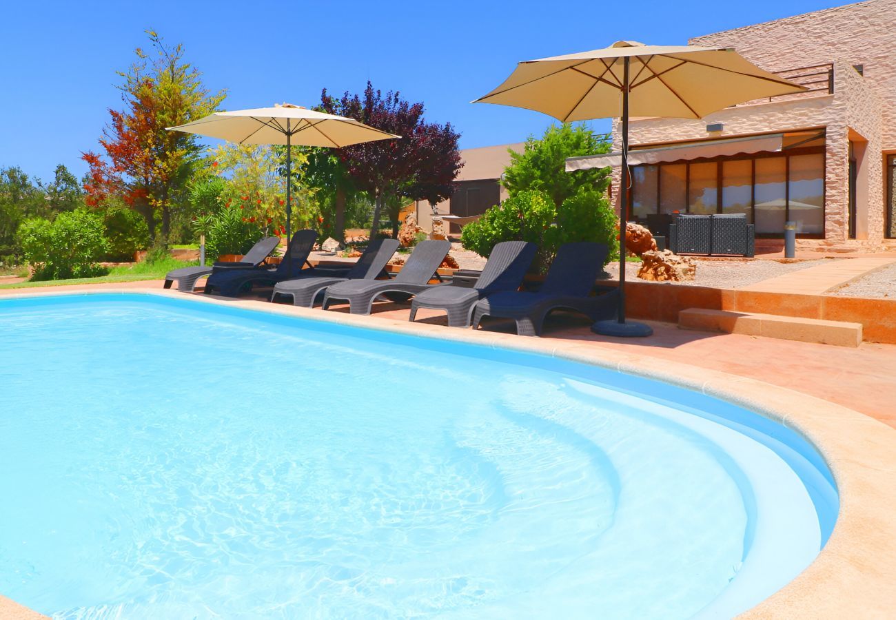 Vacances, piscine, jardin, soleil, famille
