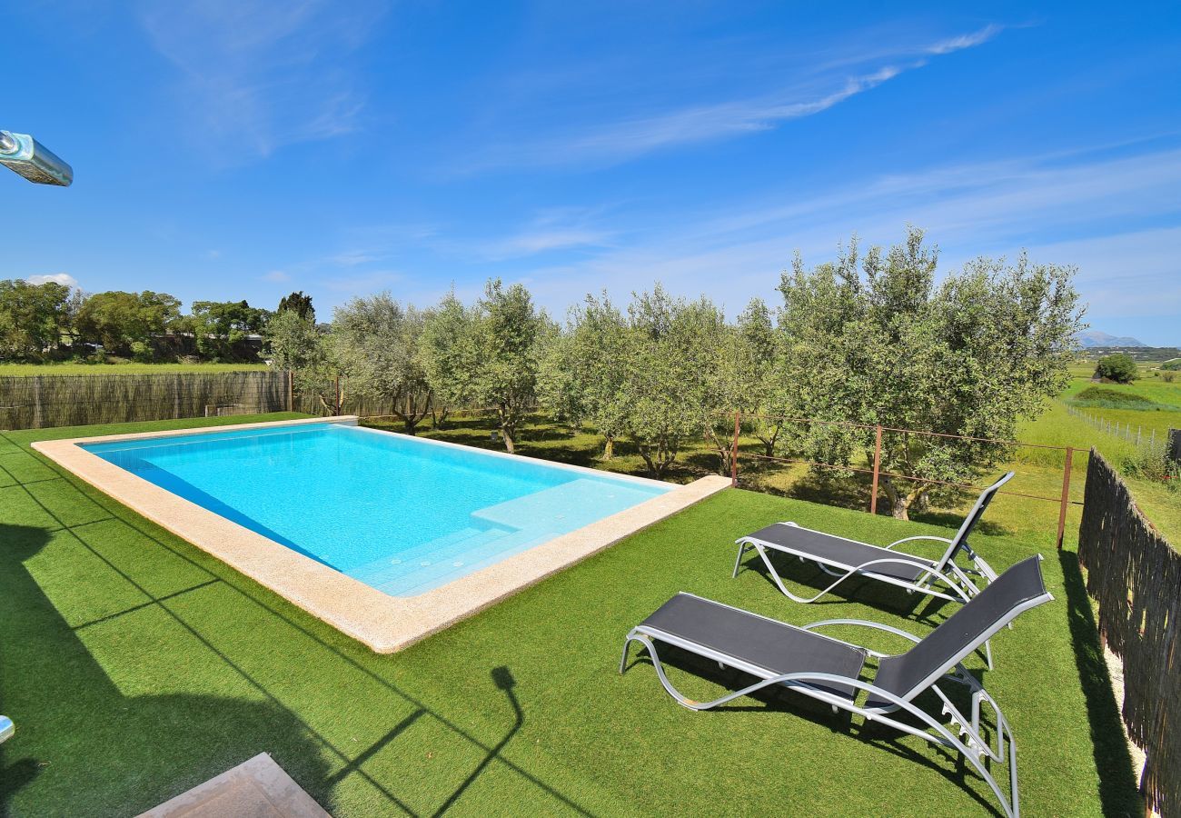 vues, piscine, nature, vacances, location 