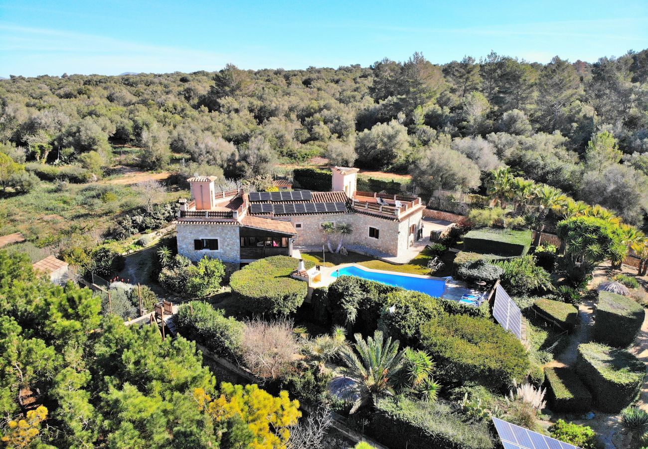 finca, maison de vacances, Majorque, piscine, jardin, jardin