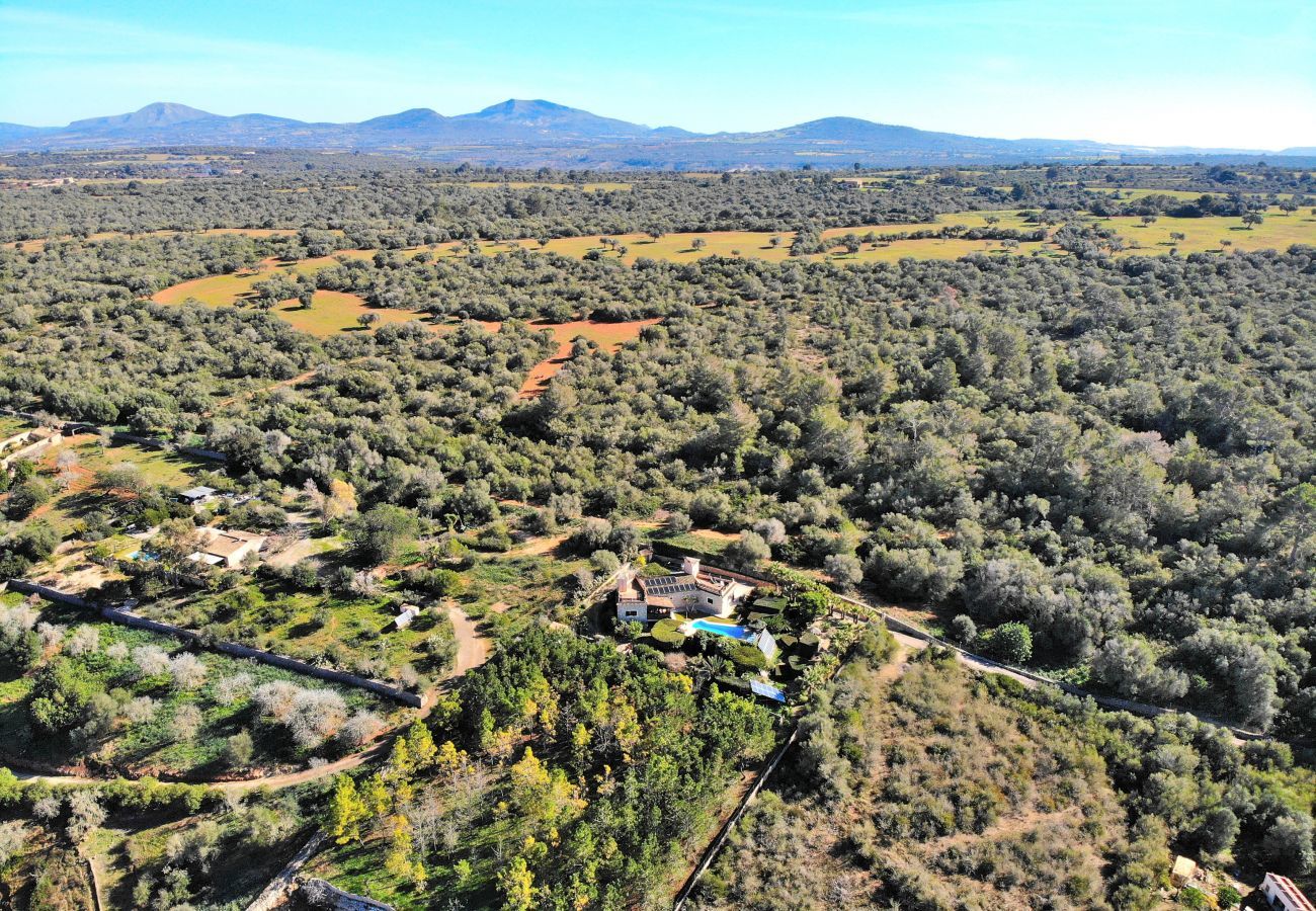 Domaine à Ariany - 250 Finca Can Xisco Domatiga ETV/905 by Mallorca C