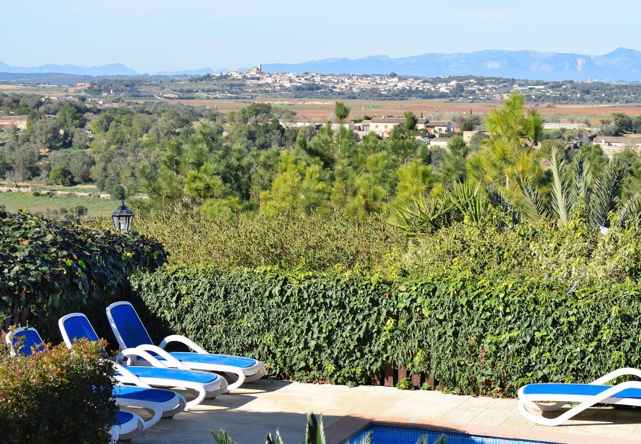 finca, campagne, jardin, jardin, Majorque, Ariany, Ariany