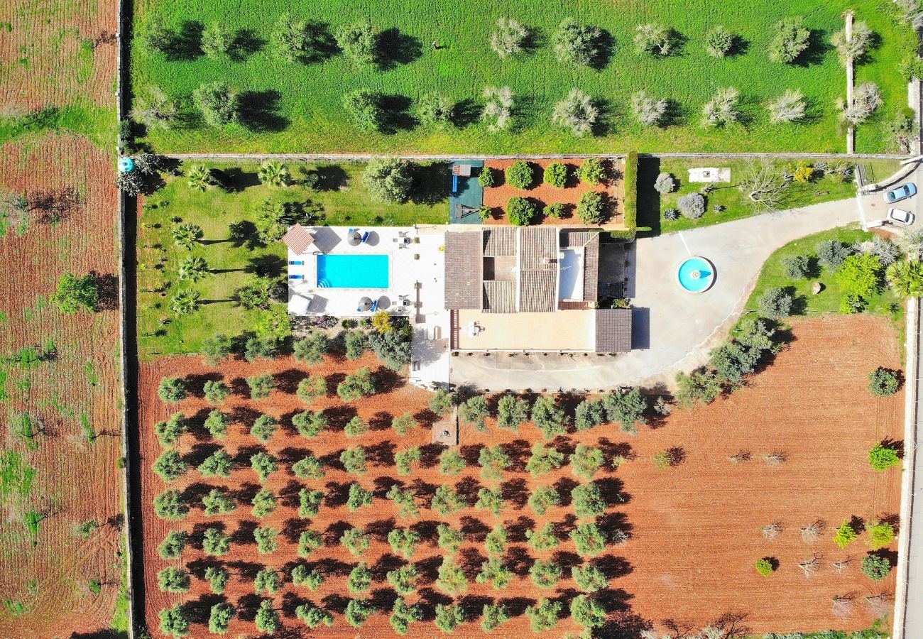 Domaine à Ariany - 253 Finca Calderitx ETV/3113 by Mallorca Charme