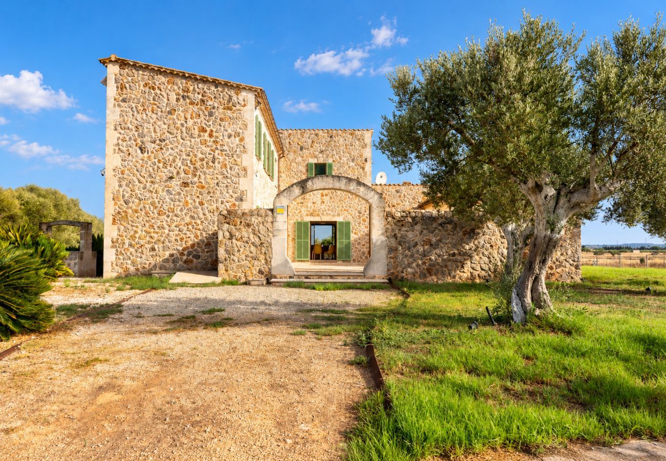 Villa à Sa Pobla - Barbarasa, Villa 5StarsHome Mallorca