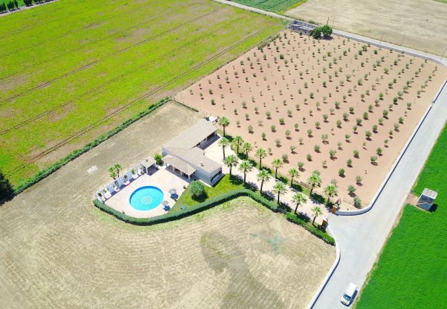 Villa with pool for 8 people in Sa Pobla, Mallorca. 3 double bedrooms, 2 bathrooms, large private pool, nice barbecue area, children's playground, free wifi-high-speed internet