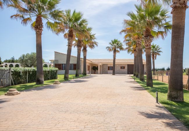 Villa with pool for 8 people in Sa Pobla, Mallorca. 3 double bedrooms, 2 bathrooms, large private pool, nice barbecue area, children's playground, free wifi-high-speed internet