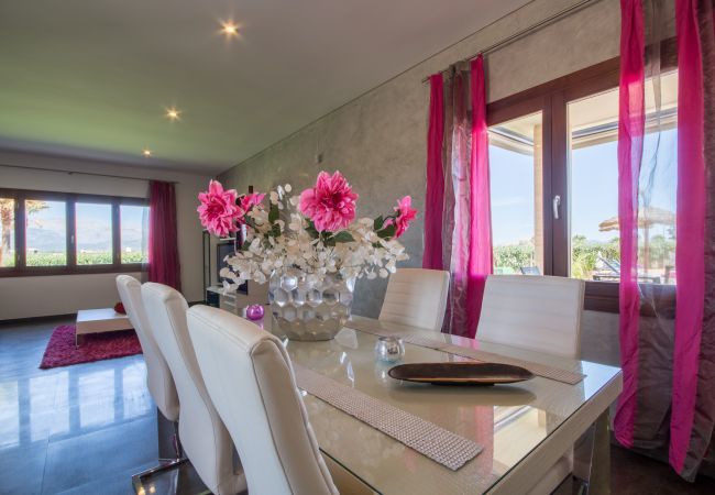 Villa with pool for 8 people in Sa Pobla, Mallorca. 3 double bedrooms, 2 bathrooms, large private pool, nice barbecue area, children's playground, free wifi-high-speed internet