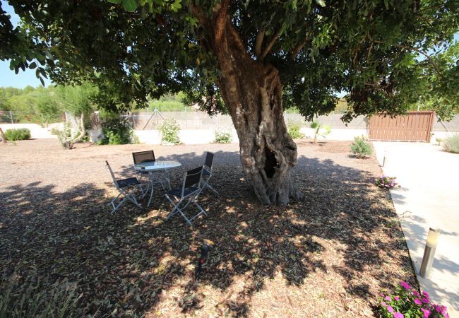 House with pool for 6 people in Sa Pobla, Mallorca. 3 double bedroom, 3 bathroom, AC, fireplace, private pool, garden, free internet.