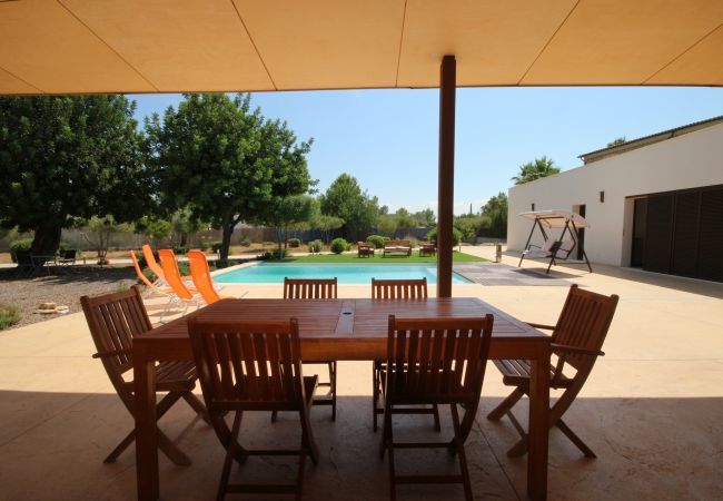 House with pool for 6 people in Sa Pobla, Mallorca. 3 double bedroom, 3 bathroom, AC, fireplace, private pool, garden, free internet.