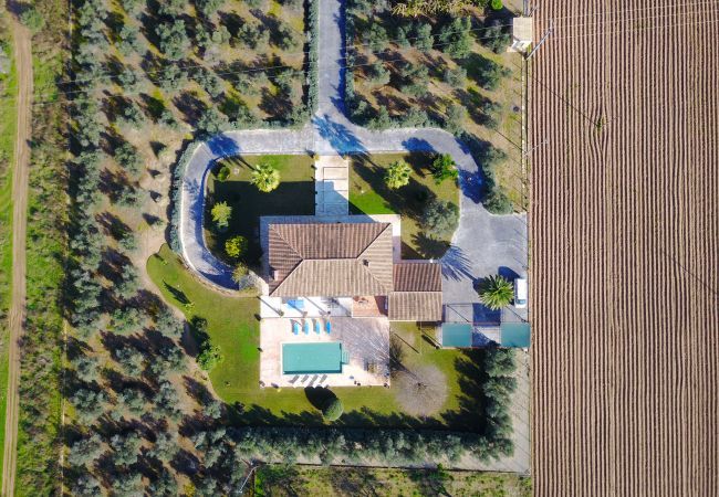 Villa with pool for 12 people in Sa Pobla, Mallorca 4 Double bedroom, 2 Single bedroom, 6 bathrooms, fitness room, pool, garden and BBQ, WIFI, view of the Tramuntana mountains