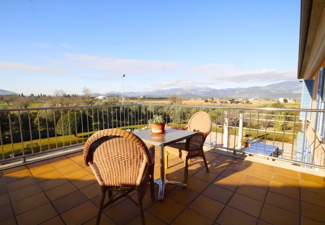 Villa with pool for 12 people in Sa Pobla, Mallorca 4 habitaciones dobles y 2 individuales, 6 baños, gimnasio, piscina, jardín, barbacoa, wifi, vistas a la Serra de Tramuntana