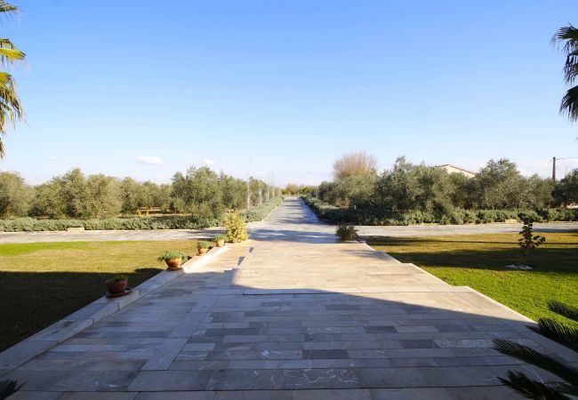 Villa with pool for 12 people in Sa Pobla, Mallorca 4 Double bedroom, 2 Single bedroom, 6 bathrooms, fitness room, pool, garden and BBQ, WIFI, view of the Tramuntana mountains
