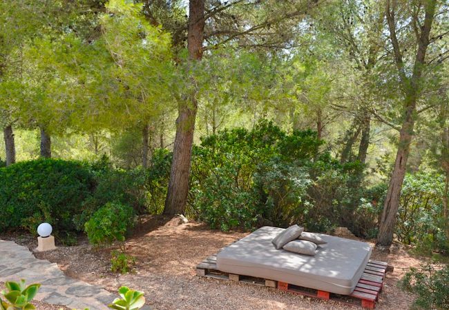 Rural house with pool for 8 people in Sant Josep de sa Talaia, Ibiza. 4 bedrooms, bathroom, terrace, barbecue, fireplace, iron, internet access (wifi), hairdryer, AC only in lounge, private pool