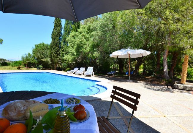 5 double bedrooms, 3 bathrooms, Wifi-Internet, air conditioning, Nice garden with pool and barbecue.