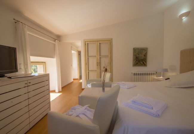 Rural house with pool for 16 people in Alcúdia, Mallorca. 8 DBR, 8 BR en suite, 1 outdoor bath, 2 guest WCs, XXL pool, several terraces, garden & in-house bodega.