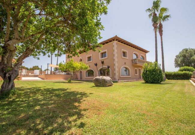Villa with pool for 8 people in Santa Margalida, Mallorca. 4 DBR, 3 BR, 1 Outdoor bathroom, AC, Wifi, Home cinema, pool with music system, fitness room, Table Tennis, billiards...