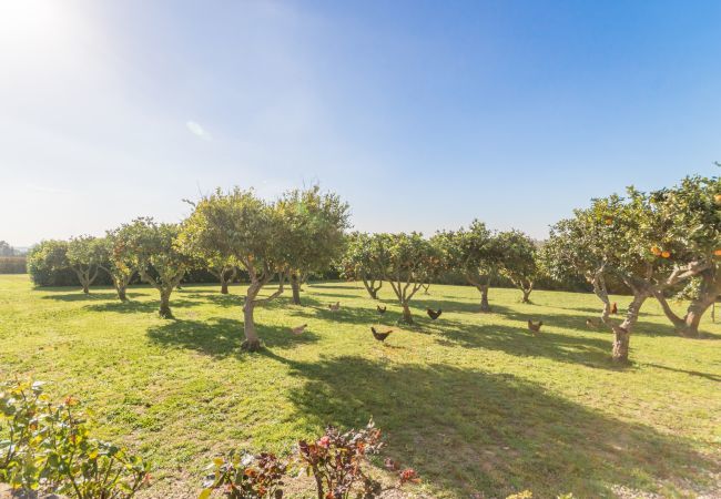House in Santa Margalida - Es Bosquerro Can Lau, Finca 5StarsHome Mallorca House in Santa Margalida - Es Bosquerro Can Lau, Finca 5StarsHome Mallorca